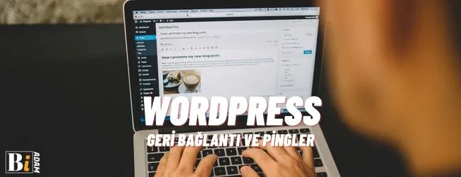 Wordpress Pingback Nedir?