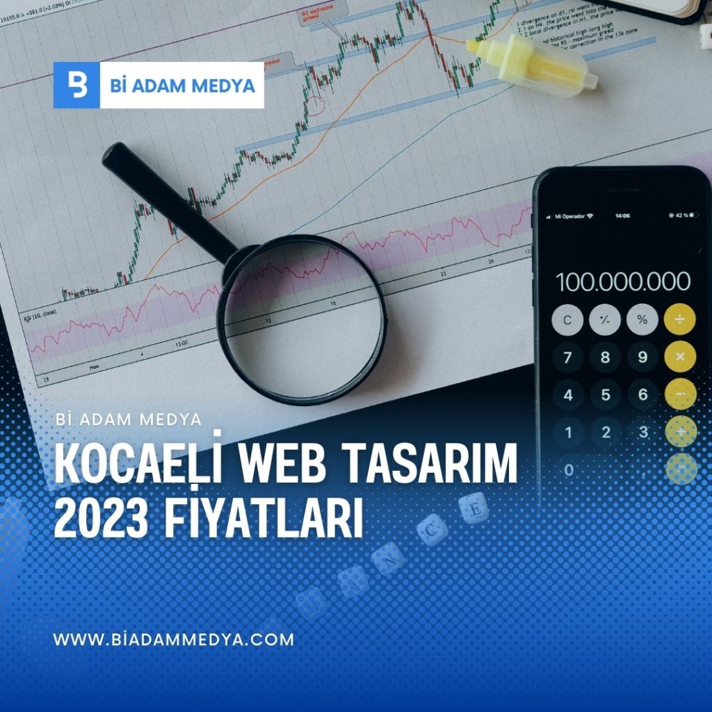 Kocaeli web tasarim firmasi